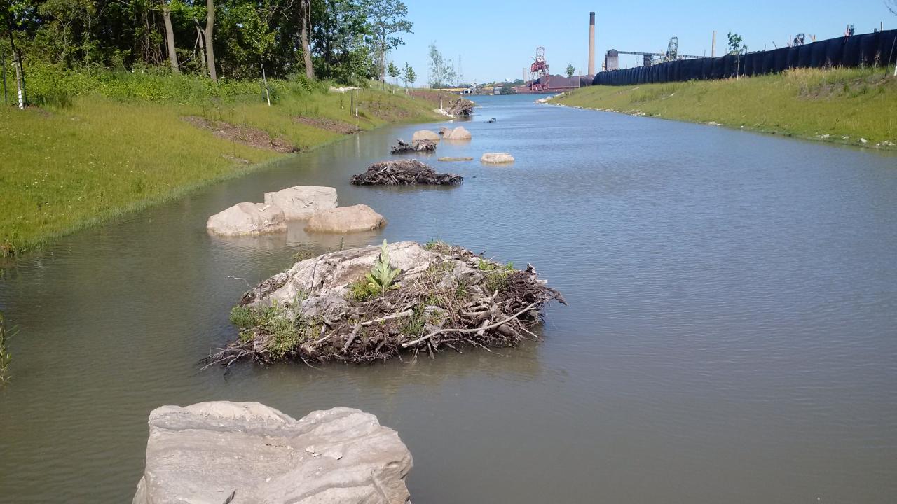 Lower Reach - rock clusters and root wads