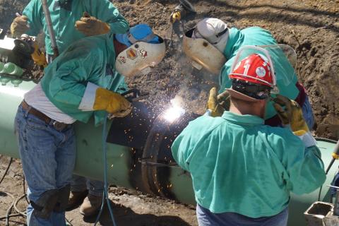 Workforce-Development