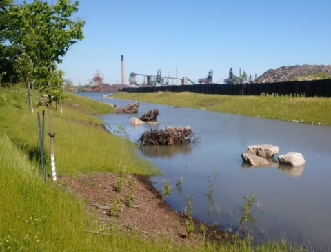 view of stream standing from shore