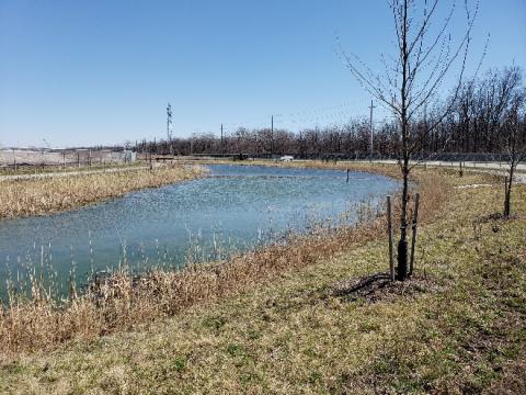 environmental protection measures