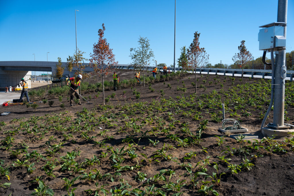 landscape construction