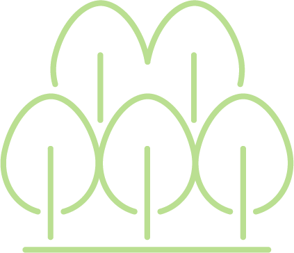 Nature Fern Green light green