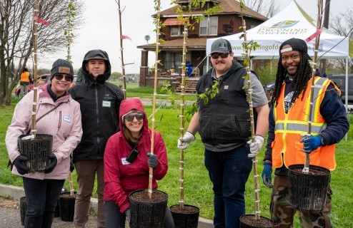 individuals holding plants about to be planted